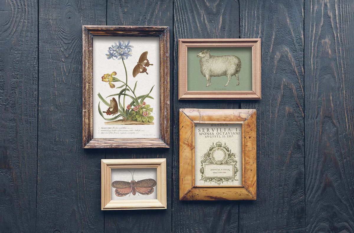 Brocante Decor - IOD Transfers