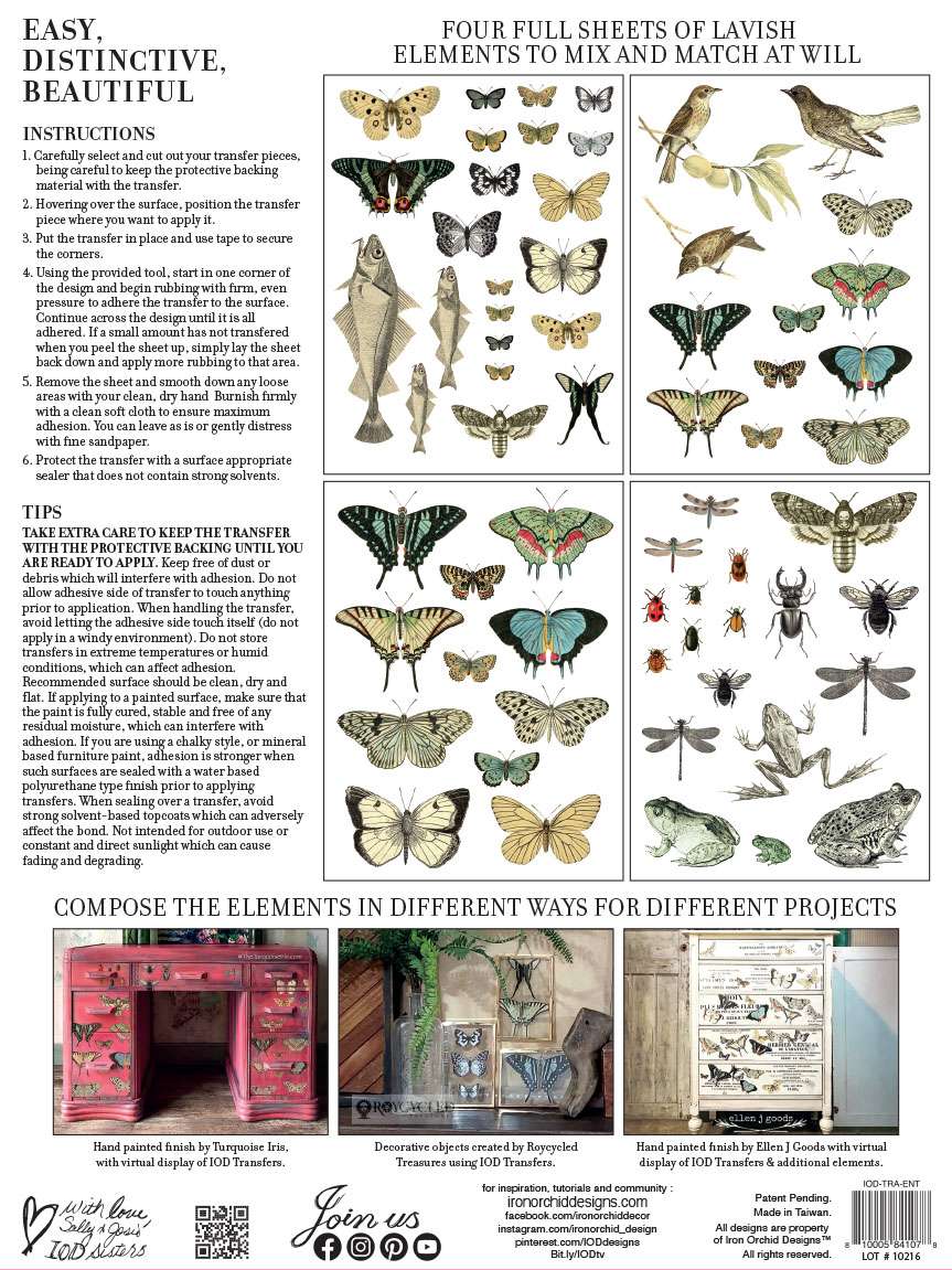 Entomology Etcetera - IOD Transfers