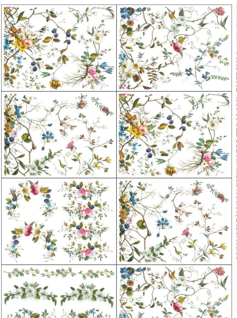 Lost Garden - IOD Transfers