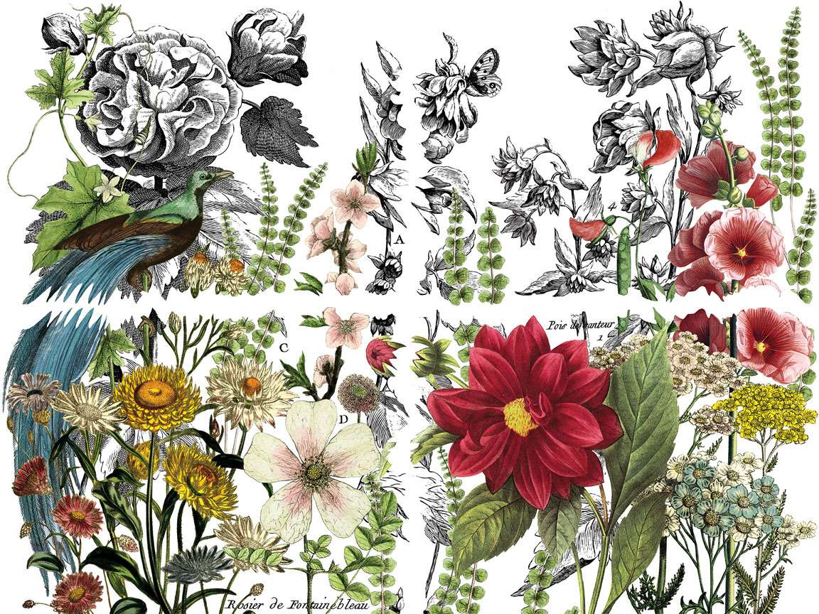 Midnight Garden - IOD Transfers