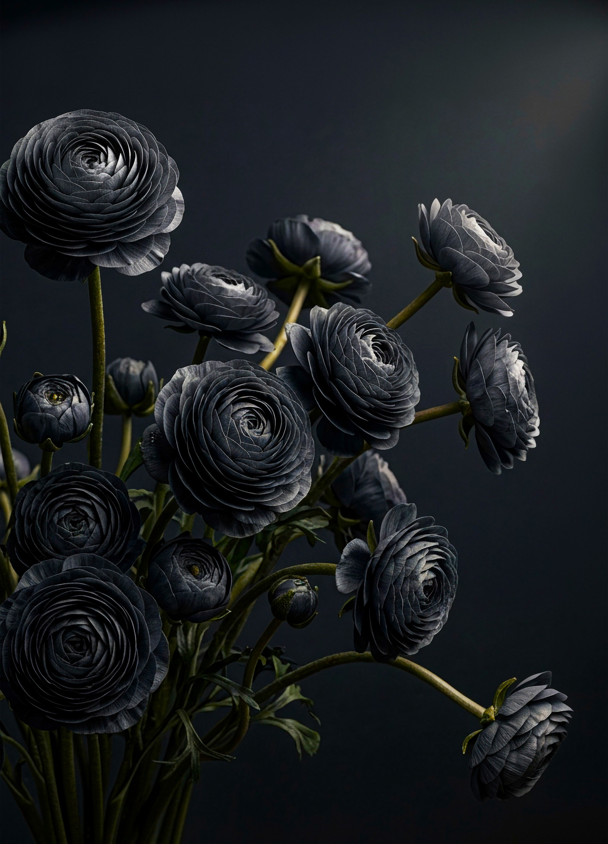 Midnight Ranunculus - Mint Decoupage Paper