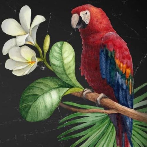 Parrot Mint Decoupage Paper art  11.7 x 16.5 inches